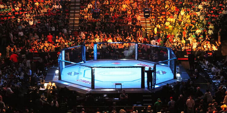 apuestas en ufc desde colombia