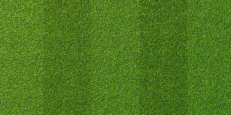 campo de fútbol virtual