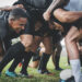 partido de rugby