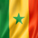 bandera senegalesa