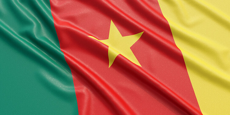 seleccion de camerun y su bandera-1