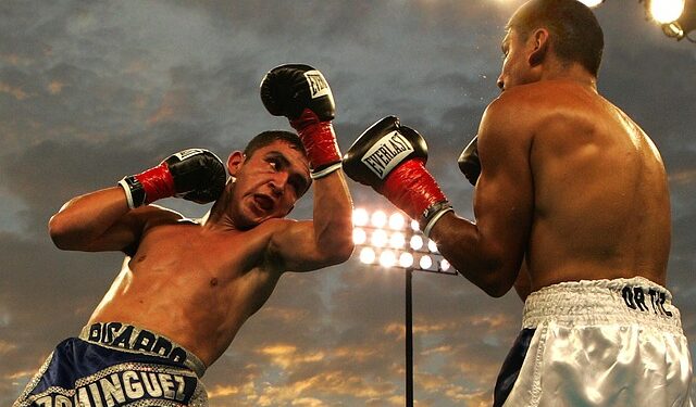 boxeadores peleando